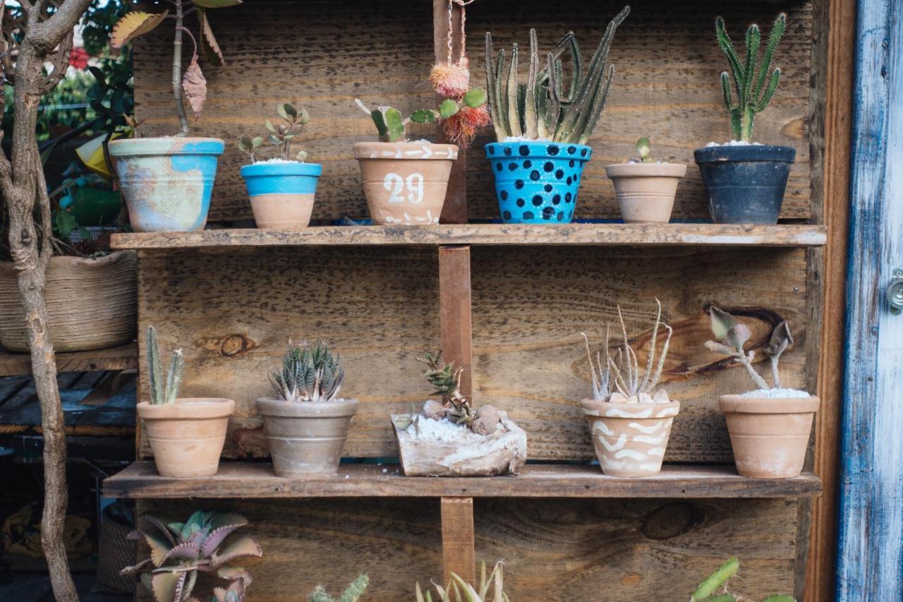 Jardim Secreto Guest House Búzios エクステリア 写真
