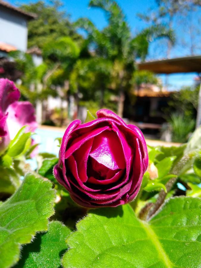 Jardim Secreto Guest House Búzios エクステリア 写真